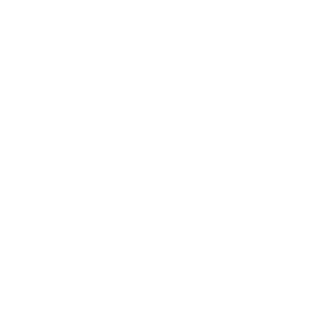 Lexus logo